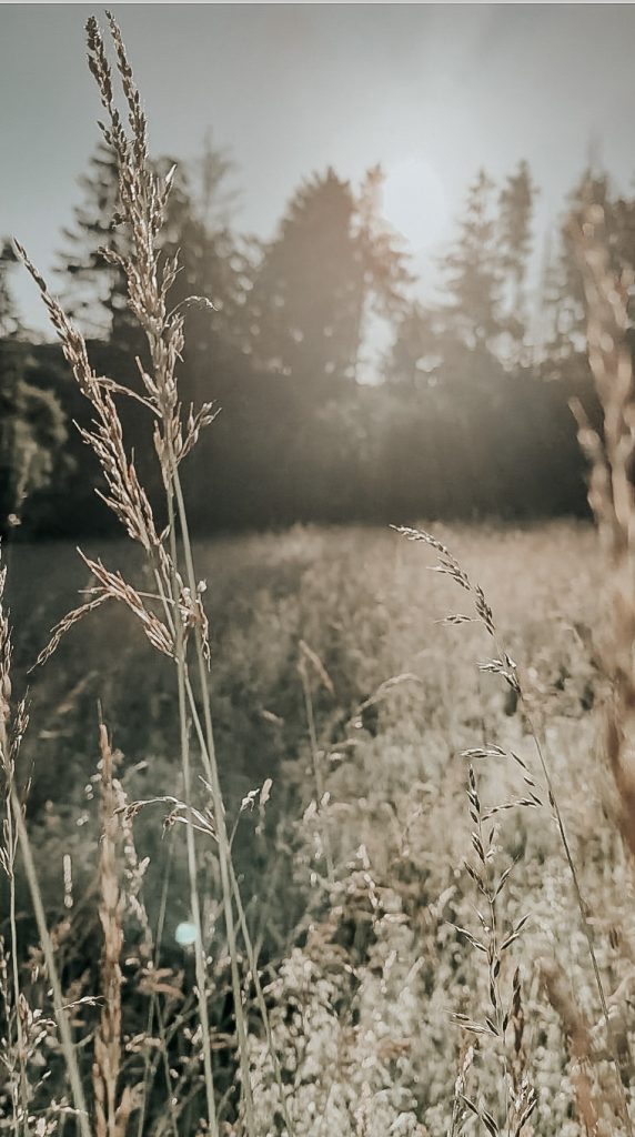 Energiearbeit lernen mit Natascha Kern