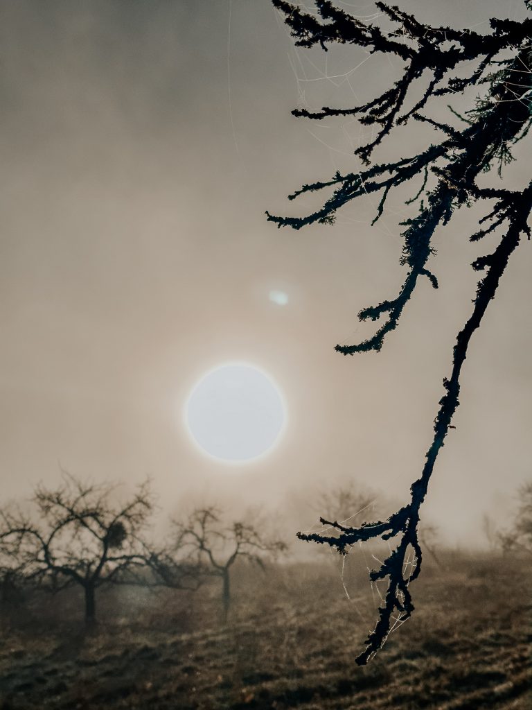 Natascha-Kern-Spirituelle-Mentorin