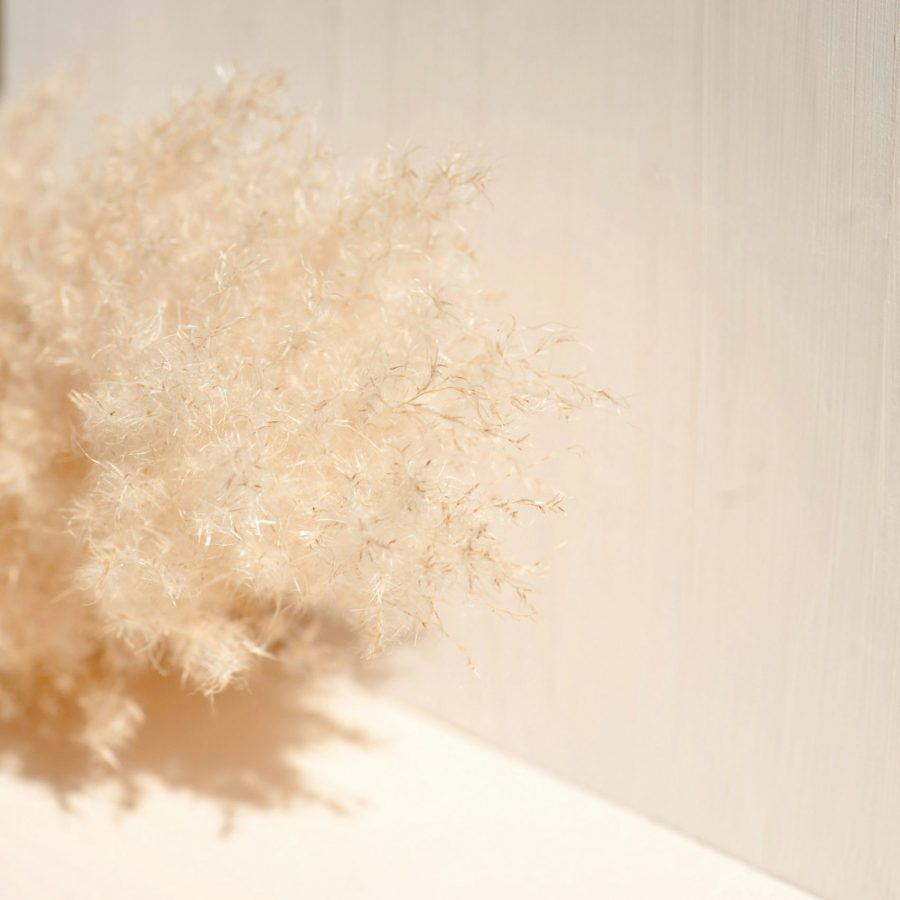 Natascha-Kern-Spirituelle-Mentorin