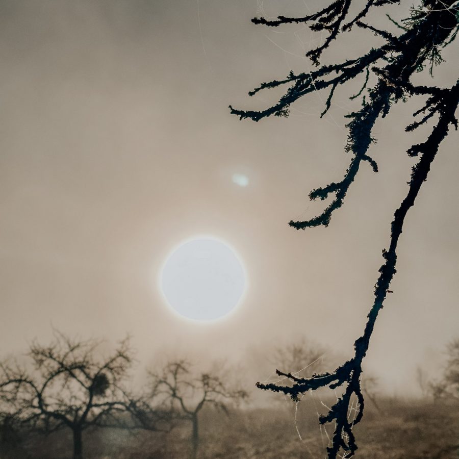 Natascha-Kern-Spirituelle-Mentorin